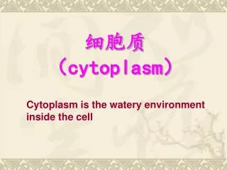 slide1