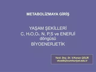 metabol zmaya g r