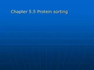 Chapter 5.5 Protein sorting