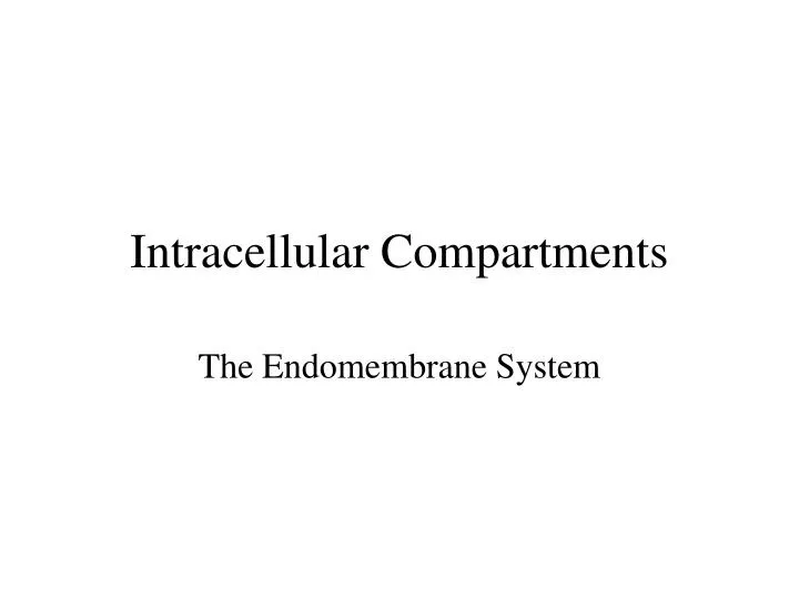 intracellular compartments