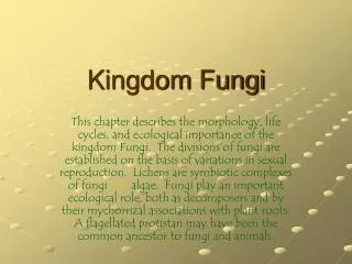 Kingdom Fungi