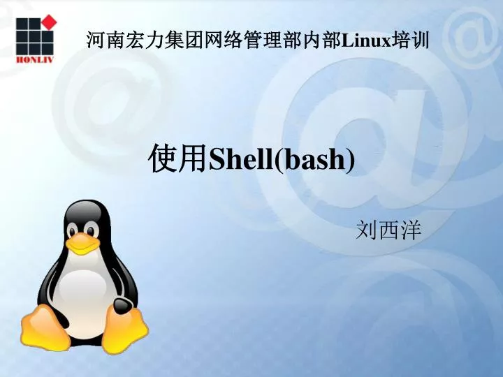 shell bash