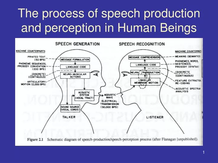 the process of speech production and perception in human beings