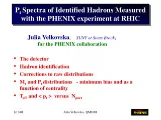 P t Spectra of Identified Hadrons Measured with the PHENIX experiment at RHIC