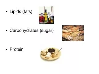 Lipids (fats) Carbohydrates (sugar) Protein