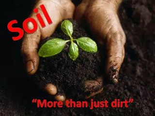 Soil