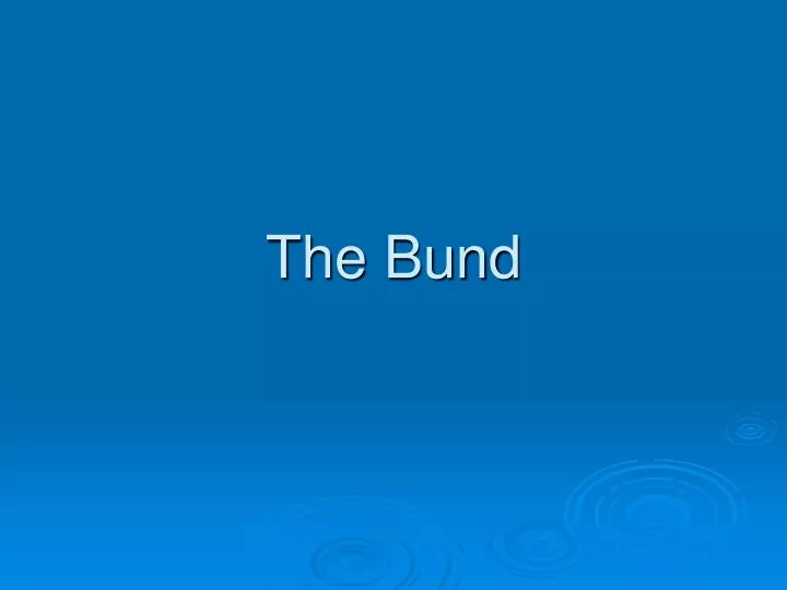 the bund