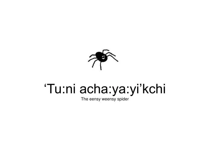 tu ni acha ya yi kchi the eensy weensy spider