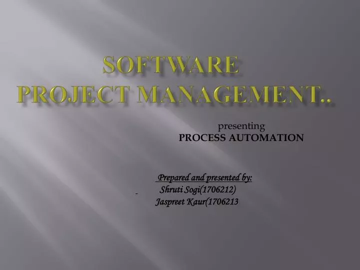 software project management