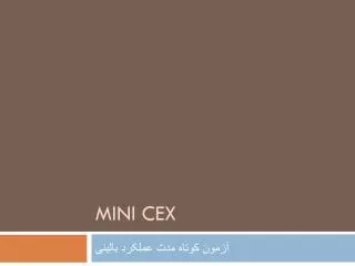 mini cex