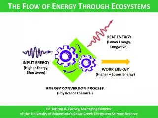 The Flow of Energy Through Ecosystems