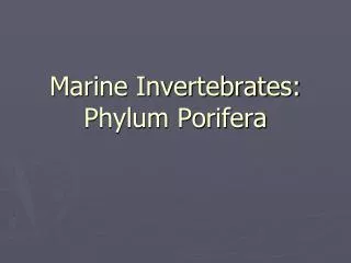 Marine Invertebrates: Phylum Porifera
