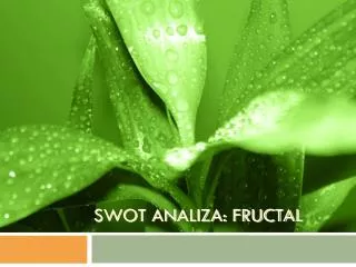 swot analiza fructal