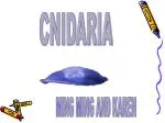 CNIDARIA - slide 1