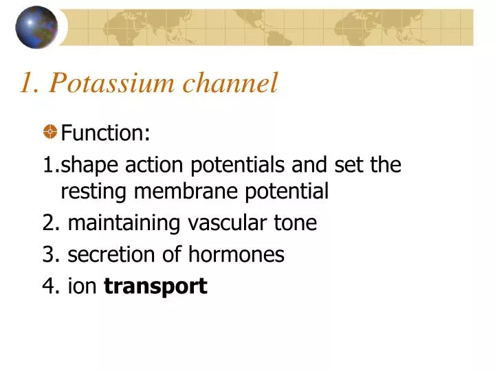 1 potassium channel