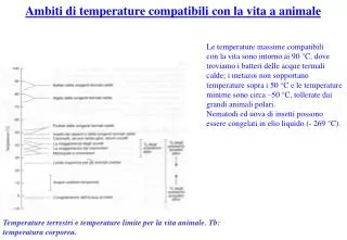 ambiti di temperature compatibili con la vita a animale