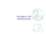 Phylogeny Tree Reconstruction - slide 1