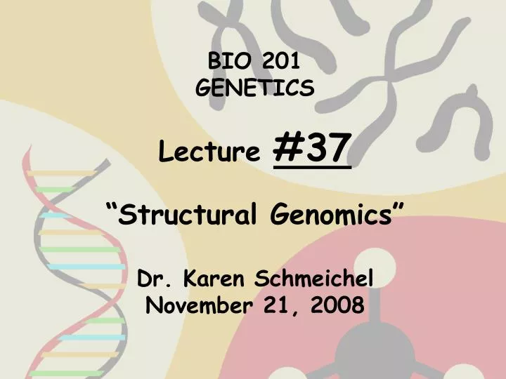 bio 201 genetics lecture 37 structural genomics dr karen schmeichel november 21 2008