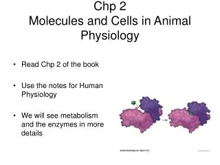 Chp 2 Molecules and Cells in Animal Physiology