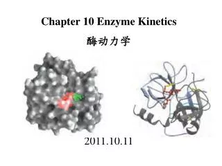 Chapter 10 Enzyme Kinetics ???? 2011.10.11