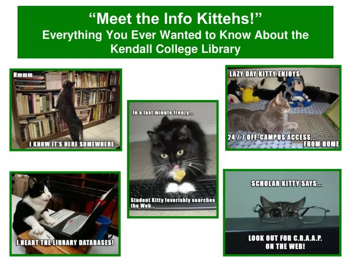 meet the info kittehs everything you ever wanted to know about the kendall college library