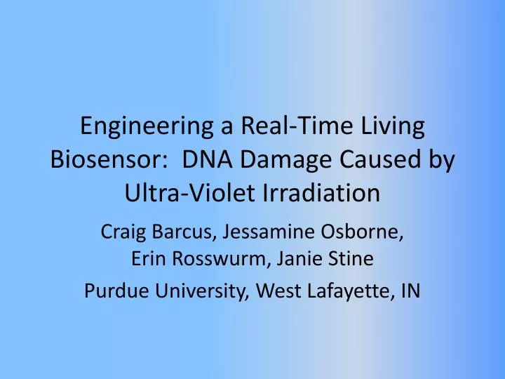 engineering a real time living biosensor dna damage caused by ultra violet irradiation
