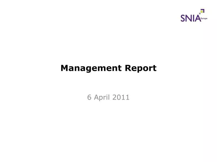 management report