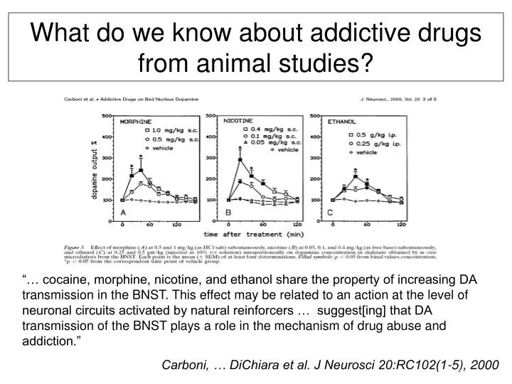 what do we know about addictive drugs from animal studies