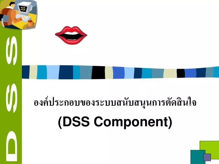 dss component