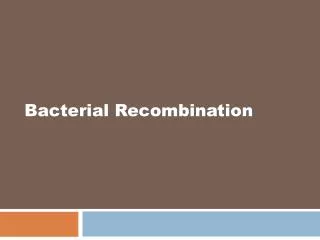 Bacterial Recombination