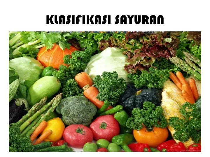 klasifikasi sayuran