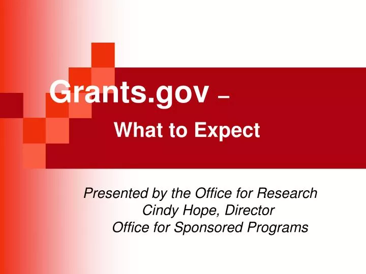 grants gov what to expect