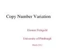Copy Number Variation - slide 1