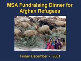 MSA Fundraising Dinner for Afghan Refugees