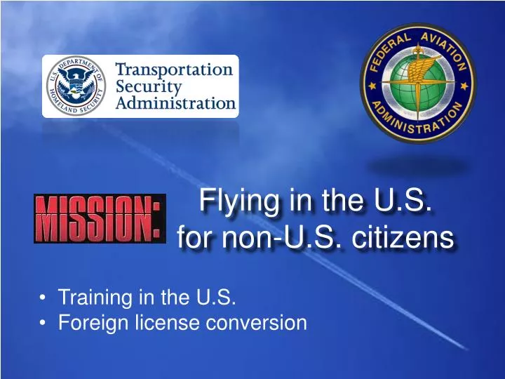 flying in the u s for non u s citizens