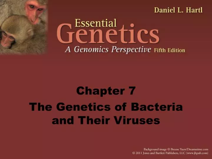 chapter 7 the genetics of bacteria and their viruses