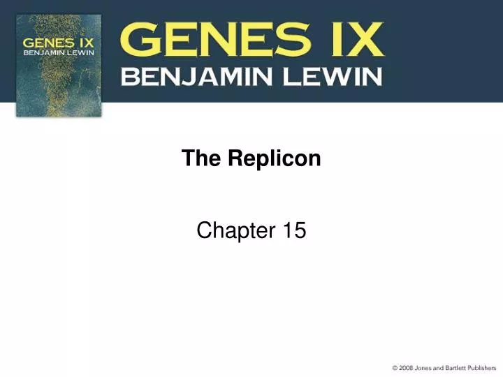 the replicon