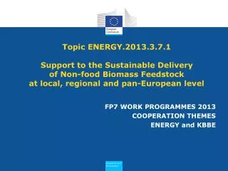 FP7 WORK PROGRAMMES 2013 COOPERATION THEMES ENERGY and KBBE