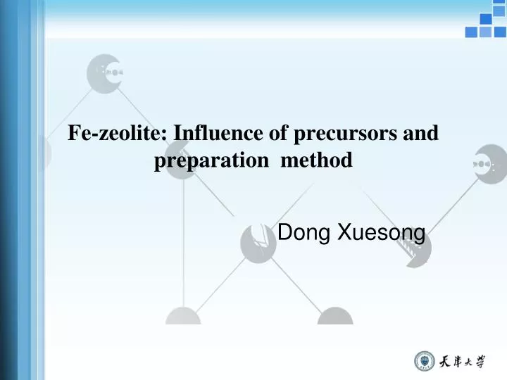 fe zeolite influence of precursors and preparation method