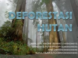 deforestasi hutan