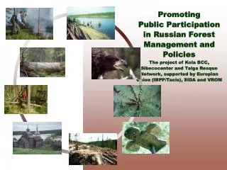 Promoting Public Participation in Russian Forest Management and Policies