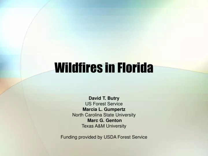 wildfires in florida