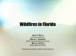 Wildfires in Florida