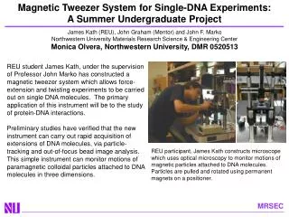 Magnetic Tweezer System for Single-DNA Experiments: A Summer Undergraduate Project