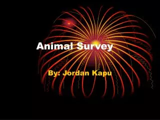 Animal Survey