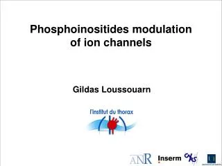 Phosphoinositides modulation of ion channels