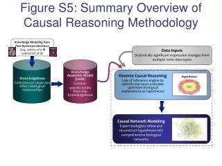 Figure S5: Summary Overview of Causal Reasoning Methodology