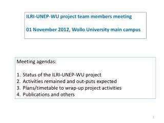 ILRI-UNEP-WU project team members meeting 01 November 2012, Wollo University main campus