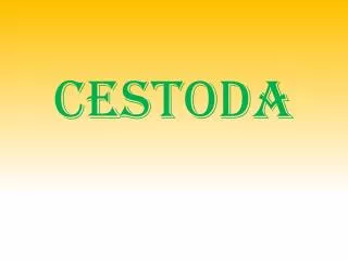 cestoda