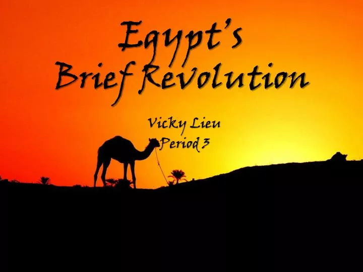 egypt s brief revolution